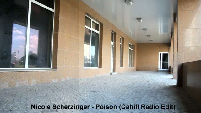 Sonya Dance - Nicole Scherzinger Poison