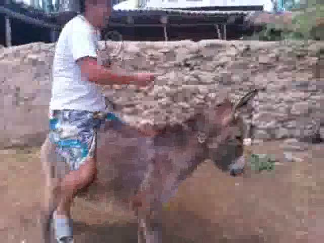 Қытайлық әйел мен қара жігіт порно онлайн